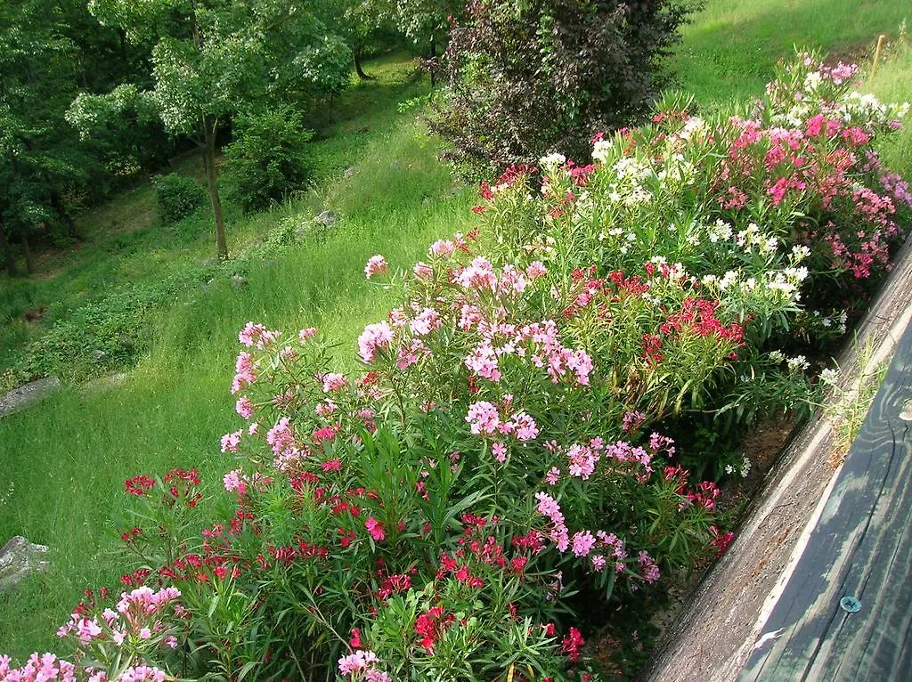 B&B Il Suono Del Bosco Arcugnano Bed & Breakfast